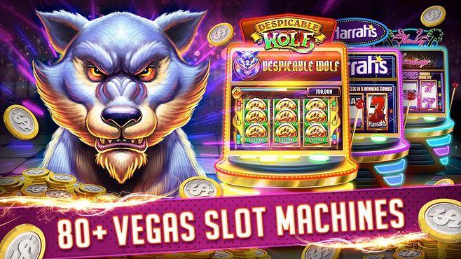 hot 646 online casino