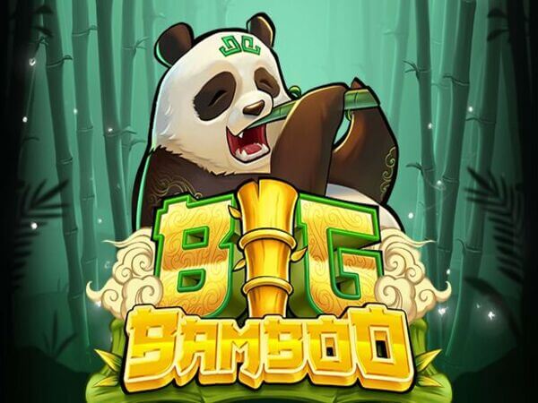 betkubi online casino